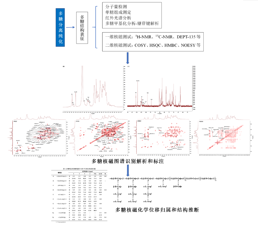 多糖結(jié)構(gòu)核磁圖譜分析