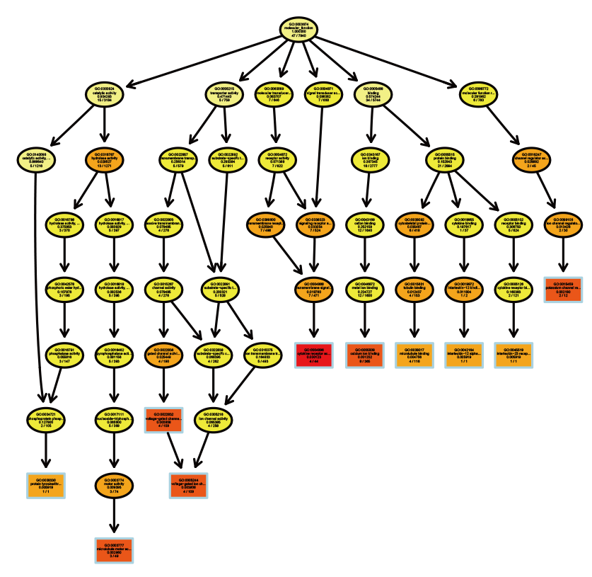 GO有向無(wú)環(huán)圖