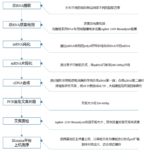 真核無參轉(zhuǎn)錄組測序1.png