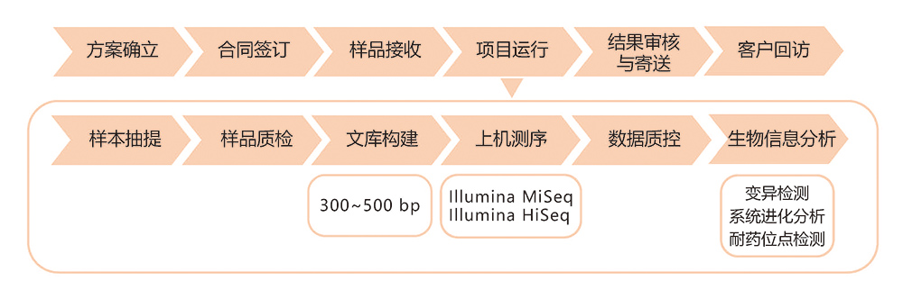 細(xì)菌基因組重測序技術(shù)路線.jpg