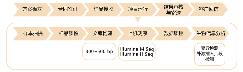 真菌基因組重測(cè)序技術(shù)路線.jpg