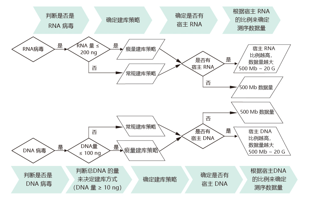 病毒基因組測序技術(shù)路線.jpg