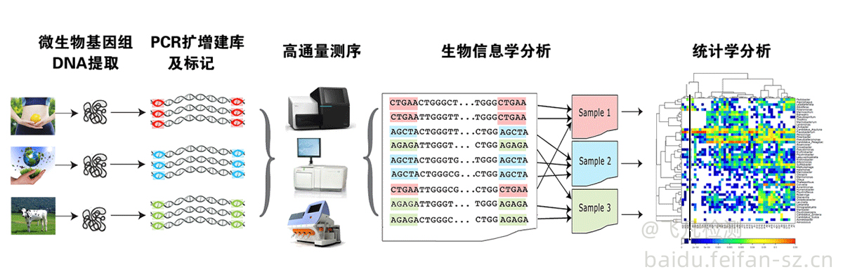 微生物宏基因組檢測(cè)