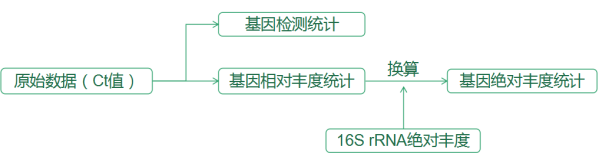 環(huán)境糞便污染溯源芯片檢測(cè)分析流程