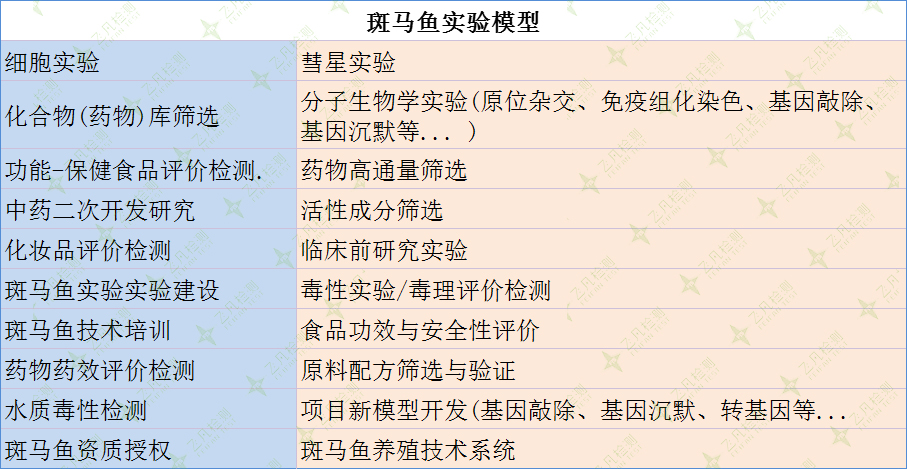 斑馬魚實驗模型檢測項目一覽表