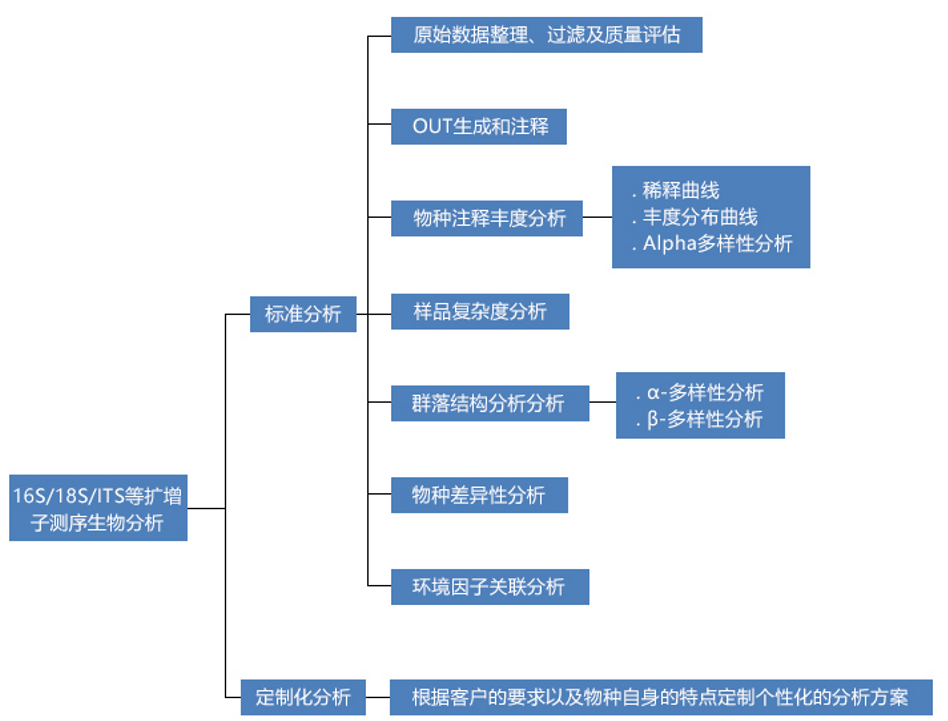 數(shù)據(jù)分析