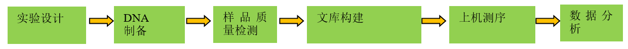 線粒體基因組測(cè)序技術(shù)流程