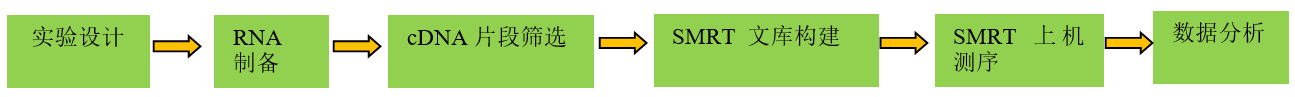 全長轉(zhuǎn)錄組測序技術(shù)流程