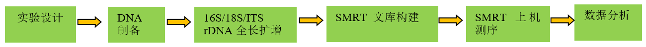 全長(zhǎng)16S/18S/ITS擴(kuò)增子測(cè)序技術(shù)流程