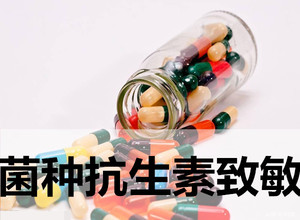 菌種抗生素敏感性試驗(yàn)