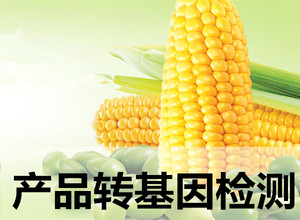 產(chǎn)品轉(zhuǎn)基因檢測