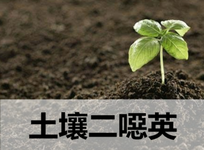 土壤和沉積物中二惡英類毒性測(cè)定